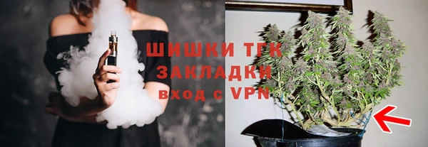прущие грибы Алексин