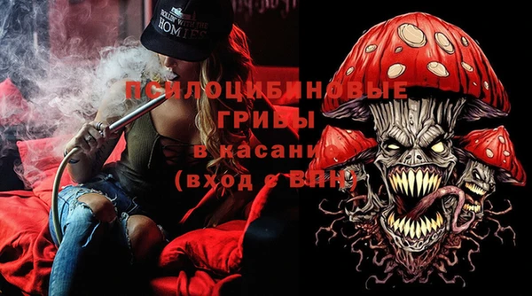 хмурый Протвино