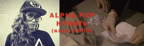 индика Алексеевка