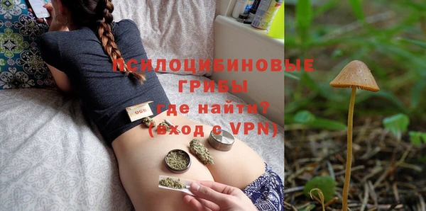 прущие грибы Алексин