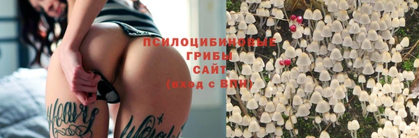 прущие грибы Алексин